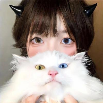 笨贼龙虎榜